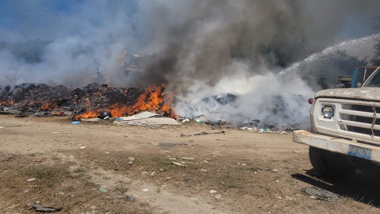 Incendio en terreno abandonado