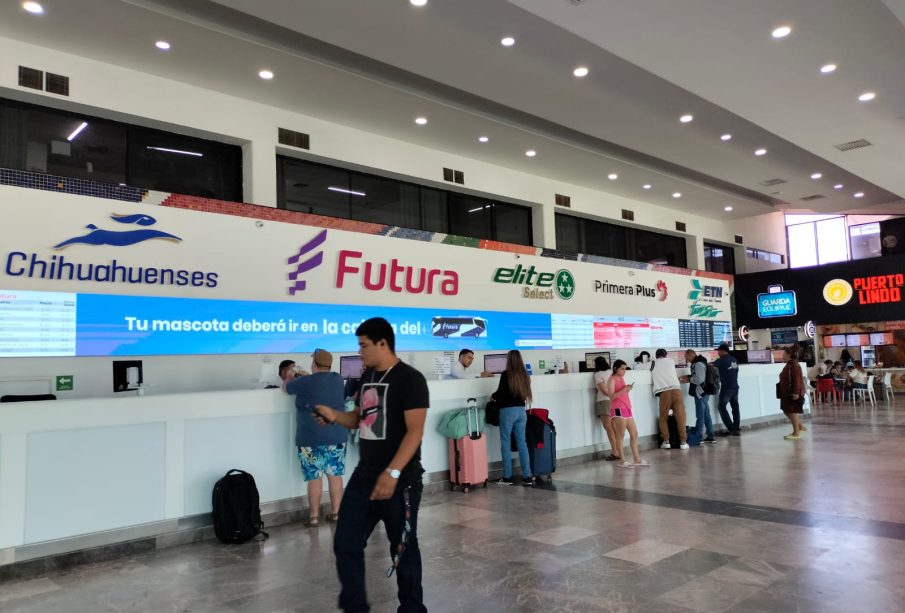 Lineas de autobuses en terminal de autobuses