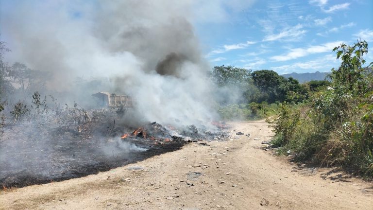 Pastizal incendiandose