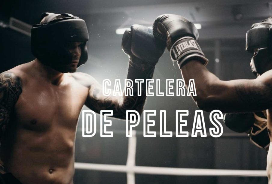 Peleas de box hoy 08 de marzo