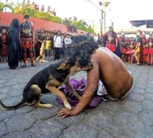 Perrito consolando a Jesús de Nazaret