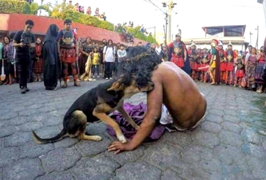 Perrito consolando a Jesús de Nazaret