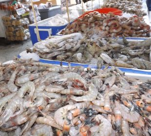 Pescados y mariscos frescos en cuaresma