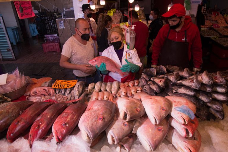 Pescados y mariscos frescos en cuaresma