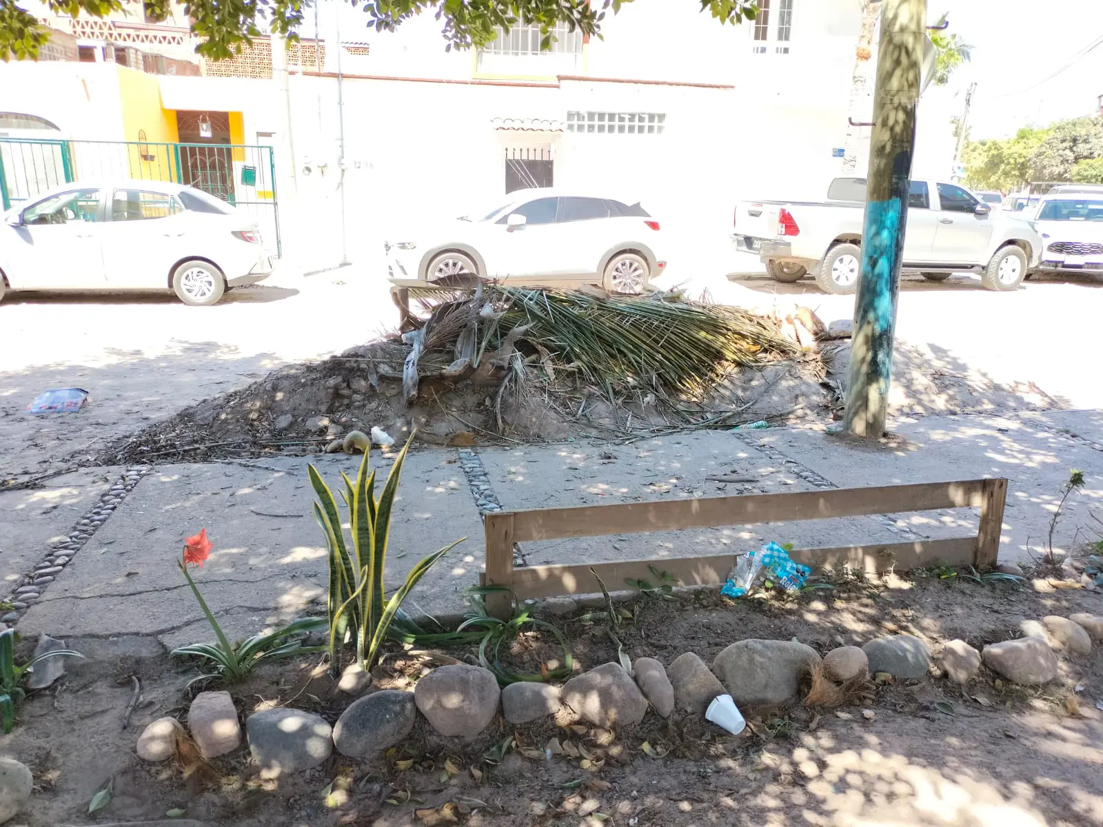 Ramas y basura en la colonia Valentín Gómez Farías