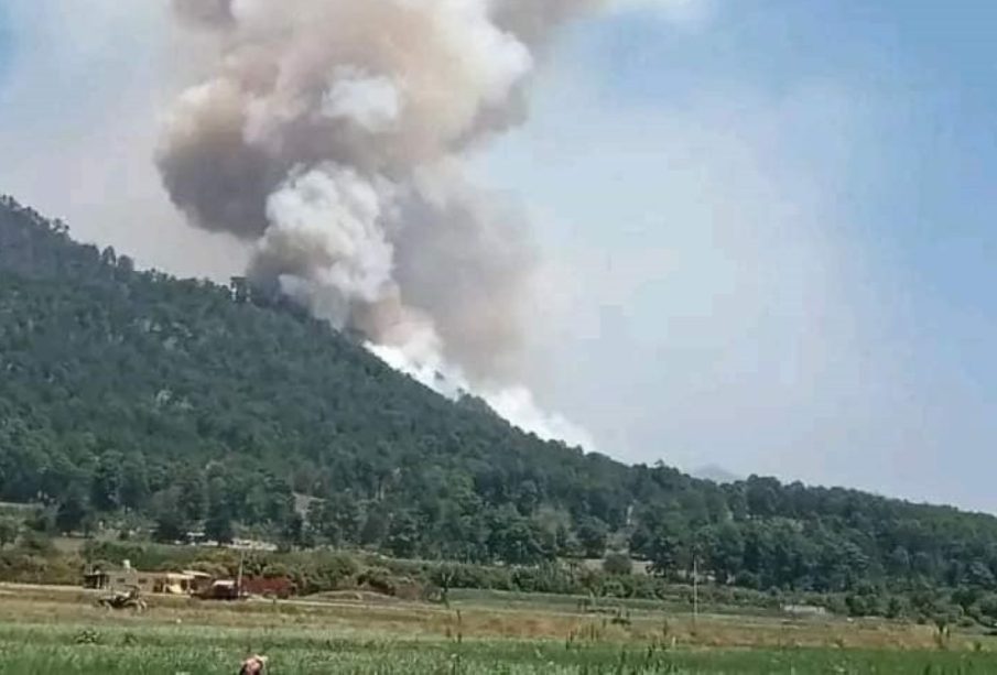 Tres personas murieron en incendio forestal en Estado de México