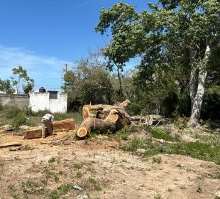 Vecinos de Villas Universidad denuncian robo de madera