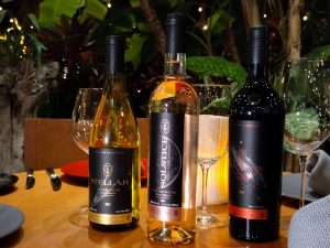 Presentan Tafer Wine Reserva Especial en Karuma de TierraLuna Gardens