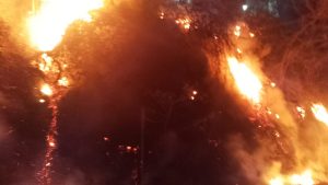 Incendio de terreno baldío pone en riesgo a casa en Amapas