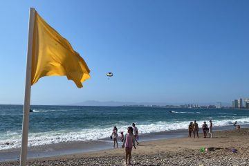 Bandera amarilla