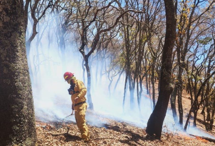 Bomberos