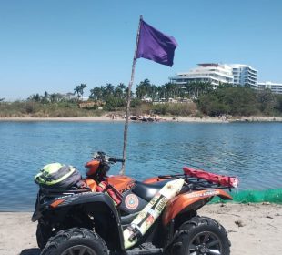 Bandera morada.