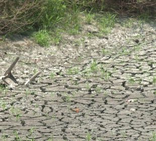 Laguna sin agua