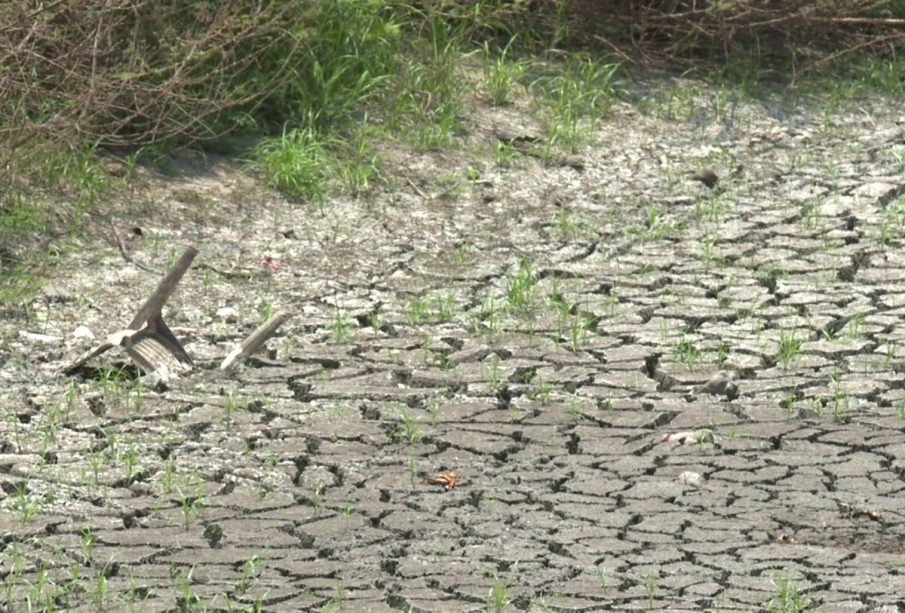 Laguna sin agua