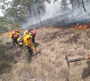 Incendio en La Primavera.