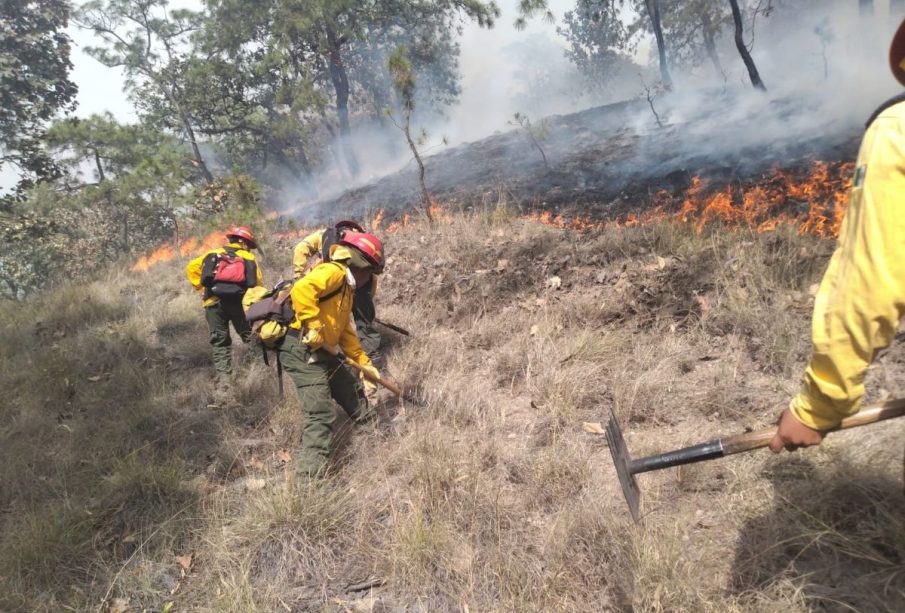 Incendio en La Primavera.