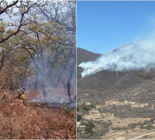 Incendio forestal