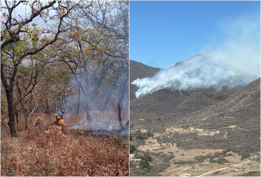 Incendio forestal