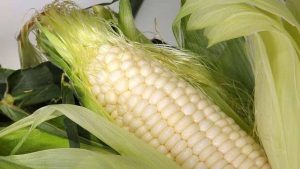 ¿Cuáles son los beneficios de comer elote?