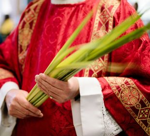 Domingo de Ramos