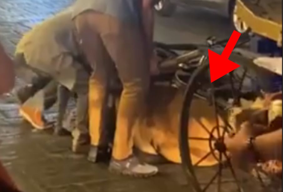 (VIDEO) Caballo se desploma por jalar carroza con turistas; denuncian maltrato animal