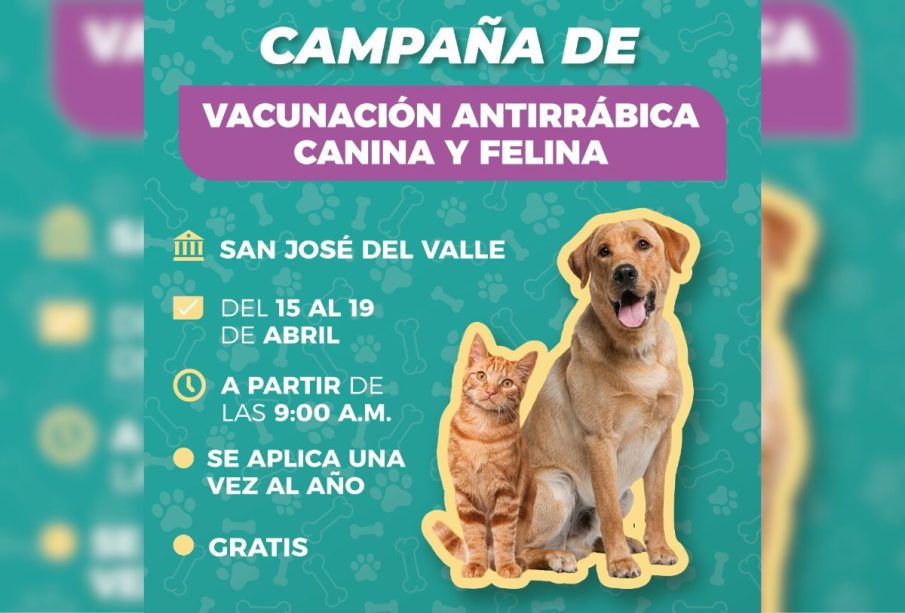 Campaña de vacunación antirrábica