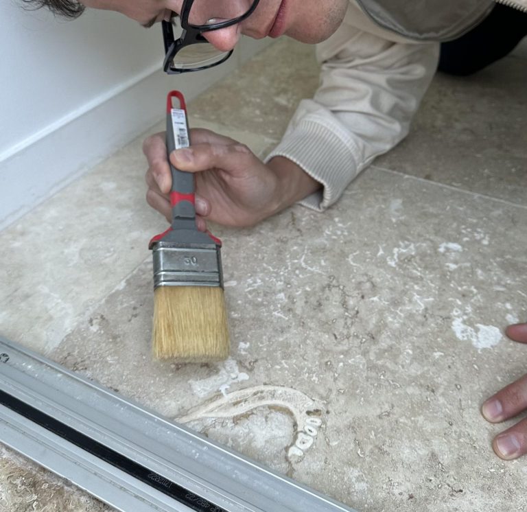 Dentista limpiando azulejo con fósil de mandíbula