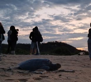 El Campamento Tortuguero de Mayto, Jalisco