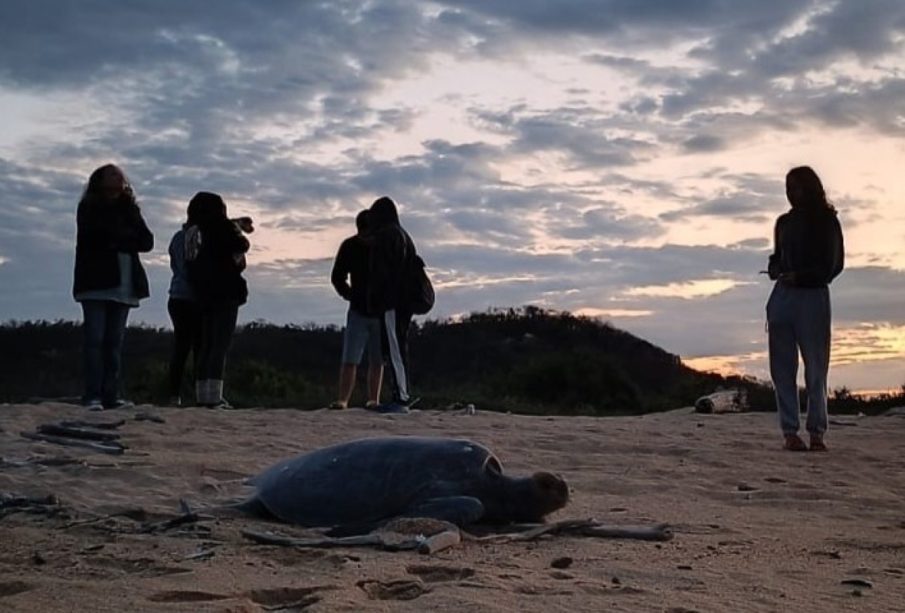 El Campamento Tortuguero de Mayto, Jalisco