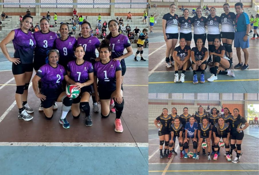 Equipos de voleibol