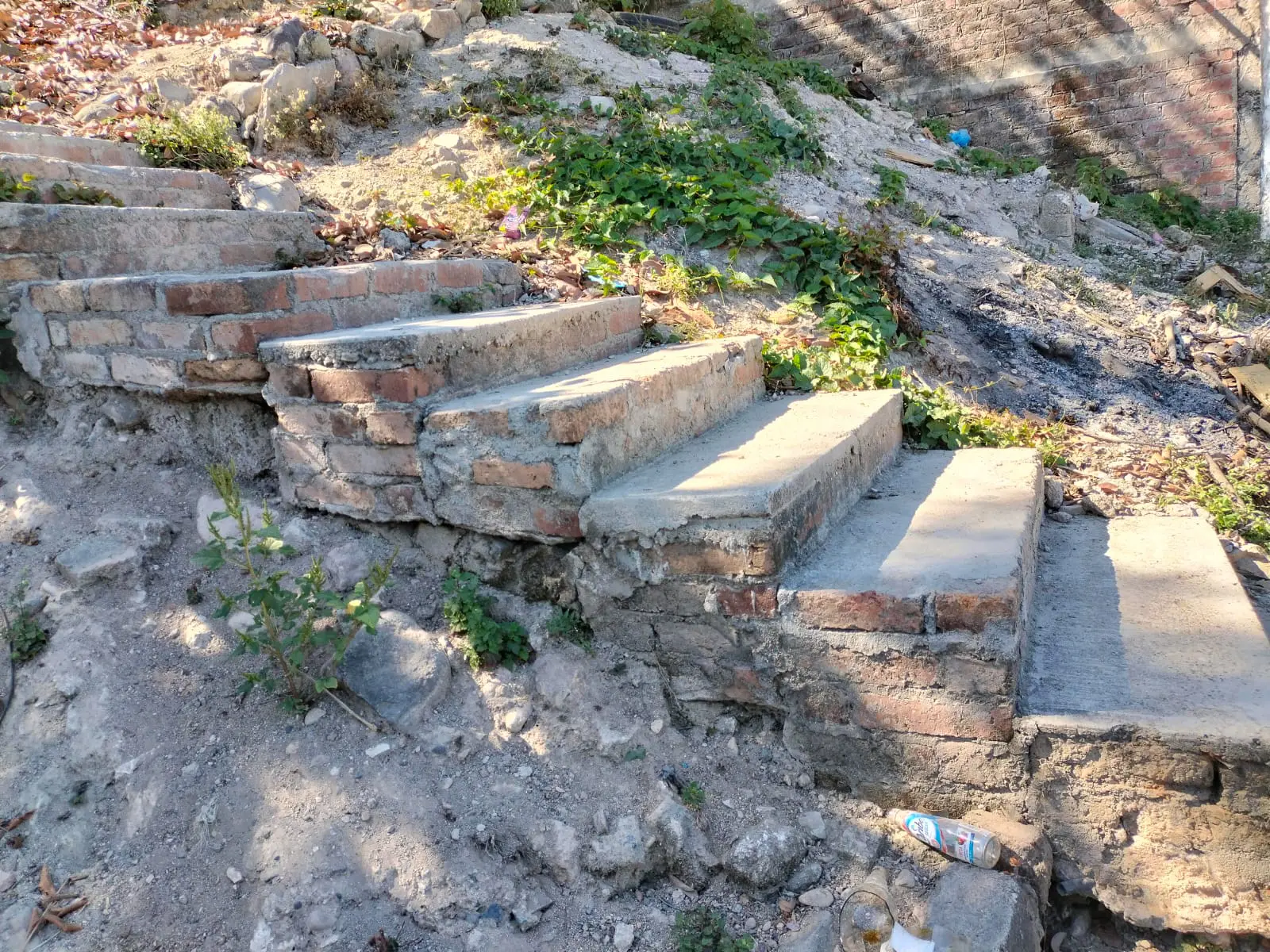 Escaleras andador en El Coapinole