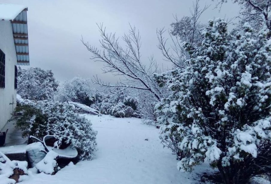 (VIDEO) Nieve "pinta de blanco" municipios de Chihuahua en plena primavera