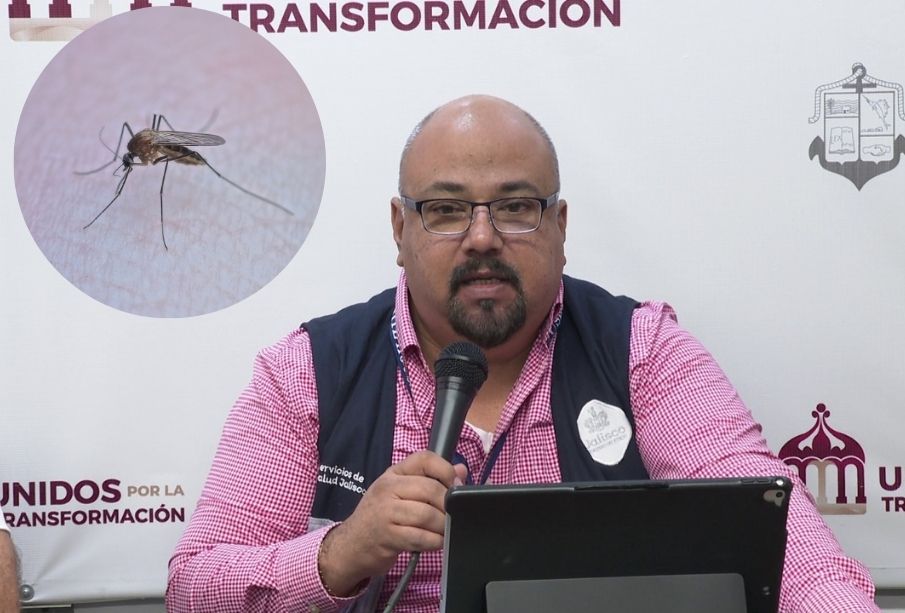 Vallarta acumula 54 casos de dengue; exhortan a eliminación de criaderos