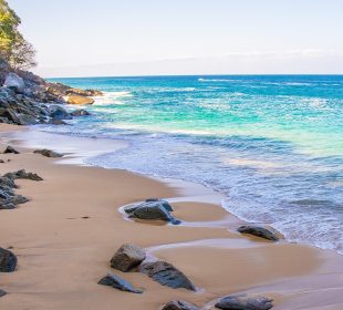 La Playa de Madagascar Un Paraíso Natural en Puerto Vallarta