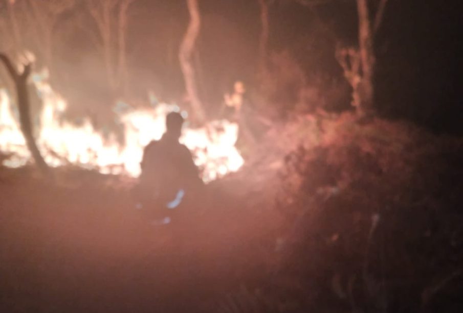 Incendio en La Primavera.