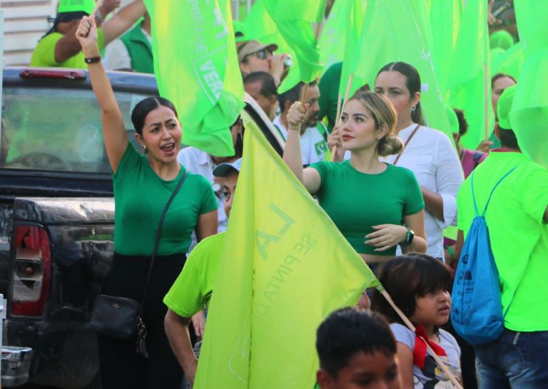 Partidarias del partido verde