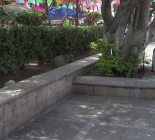 Plaza de armas de Vallarta sucia y con multa de CFE al Ayuntamiento