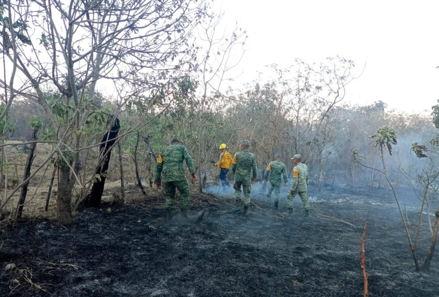 Suspenderán clases en Chilpancingo y Acapulco por incendios