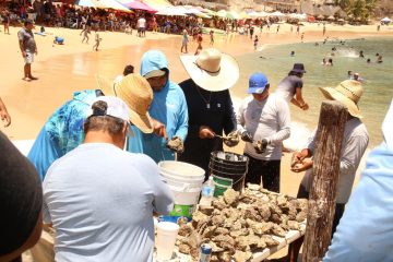 Todo listo para 4to. Festival del Ostión en Tehuamixtle