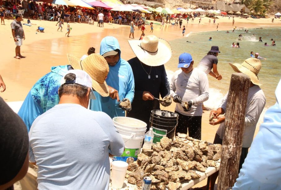 Todo listo para 4to. Festival del Ostión en Tehuamixtle