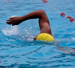 Vallarta recibirá a los mejores nadadores del país en el Nacional de Aguas Abiertas