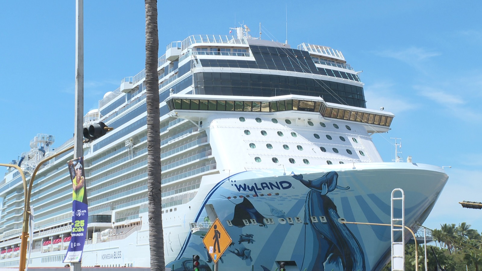 Disminuye arribo de cruceros internacionales a Vallarta en primer trimestre del año