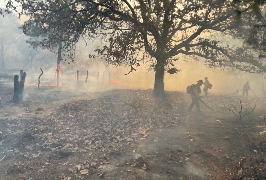 Incendio forestal