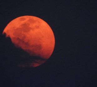 (VIDEOS y FOTOS) Así se vivió la Luna Rosa de abril en México