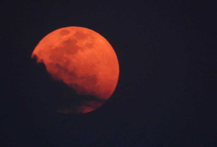 (VIDEOS y FOTOS) Así se vivió la Luna Rosa de abril en México