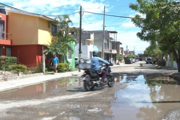 Bache en Valle Dorado