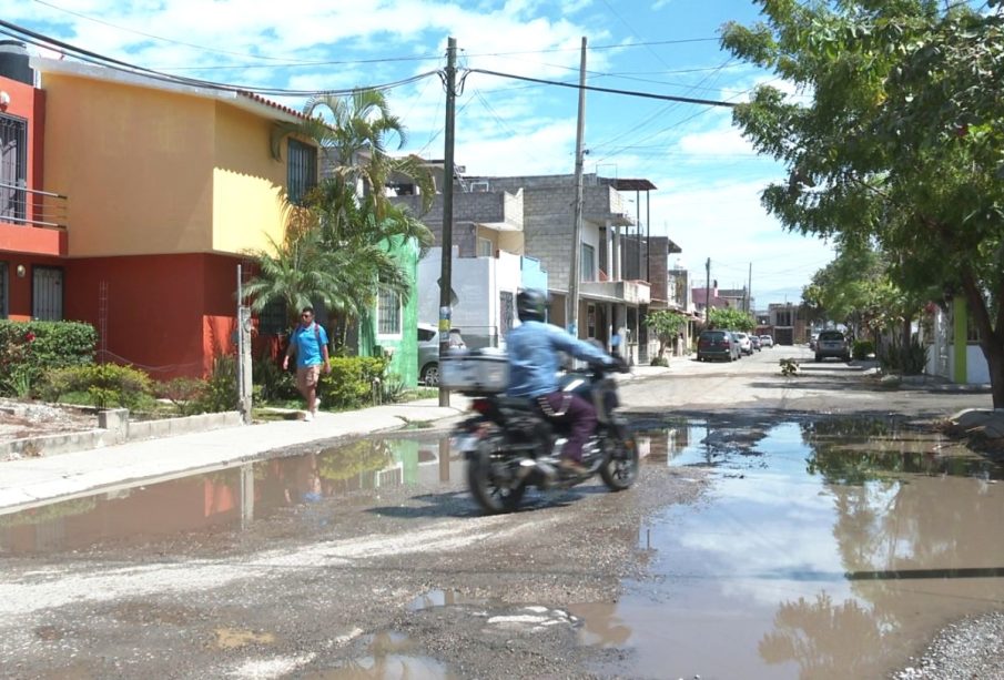 Bache en Valle Dorado