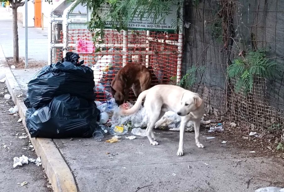 Basura acumulada en esquina de Bahía de Banderas