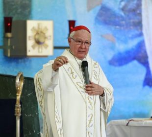 Cardenal de Guadalajara.