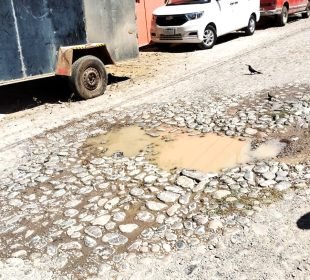 Bache paseo de la Riviera